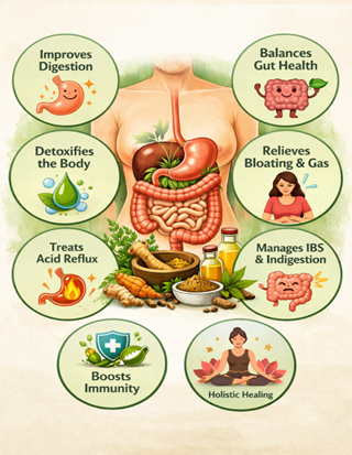 Infographic of a human digestive system with eight circular callouts around it, listing: improves digestion, balances gut health, detoxifies the body, relieves bloating & gas, treats acid reflux, manages IBS & indigestion, boosts immunity, and holistic healing.