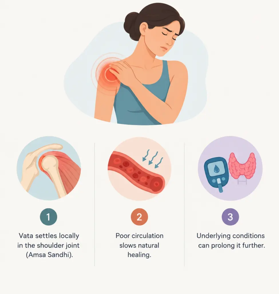 Why Frozen Shoulder Takes So Long to Resolve