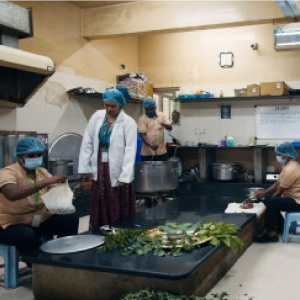 Bhaiṣajya Kalpanā